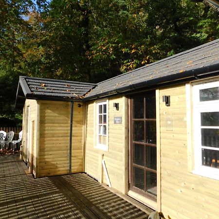 Bryn Dinas Camping Pods At The Foot Of Mt Snowdon Beddgelert Buitenkant foto