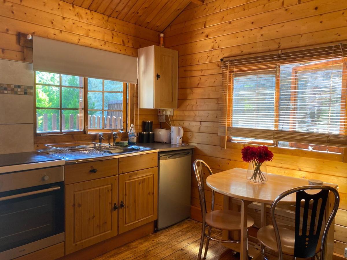 Bryn Dinas Camping Pods At The Foot Of Mt Snowdon Beddgelert Buitenkant foto