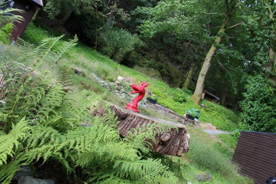 Bryn Dinas Camping Pods At The Foot Of Mt Snowdon Beddgelert Buitenkant foto