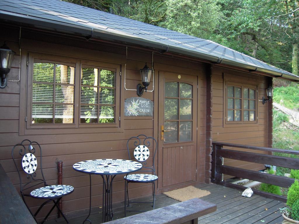 Bryn Dinas Camping Pods At The Foot Of Mt Snowdon Beddgelert Buitenkant foto
